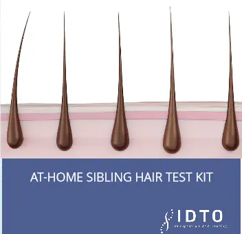 Home Sibling Hair DNA Test Kit