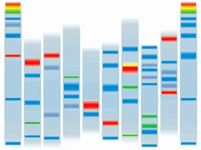 when was paternity testing invented