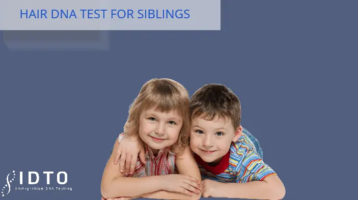 Sibling DNA Test With Hair IDTO DNA Paternity Testing Services